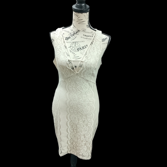 Elegant Lace Dress - Picture 1 of 5